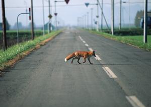 名古屋市車検でその日のうちに終わらせる