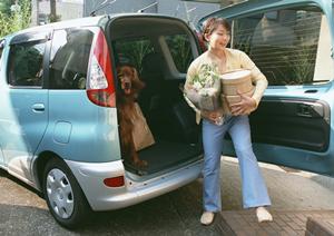 無駄な費用をかけずに車検を取ろう